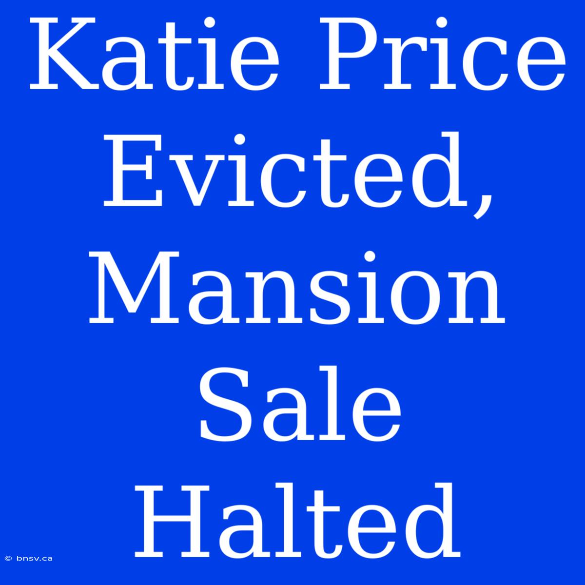 Katie Price Evicted, Mansion Sale Halted