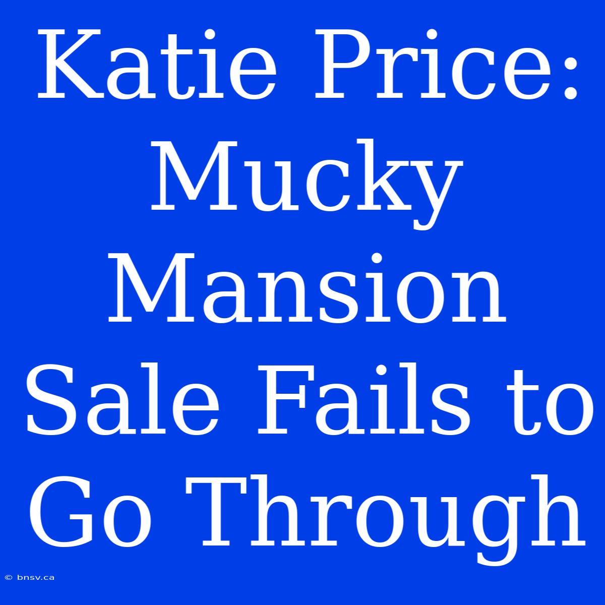 Katie Price: Mucky Mansion Sale Fails To Go Through