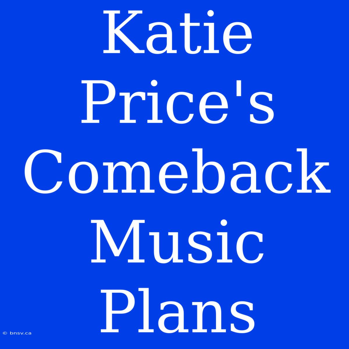 Katie Price's Comeback Music Plans