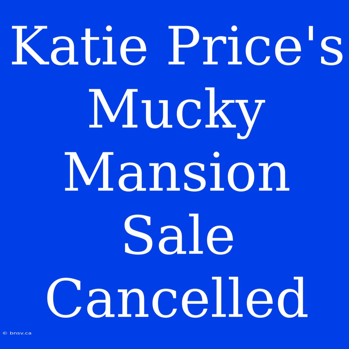 Katie Price's Mucky Mansion Sale Cancelled