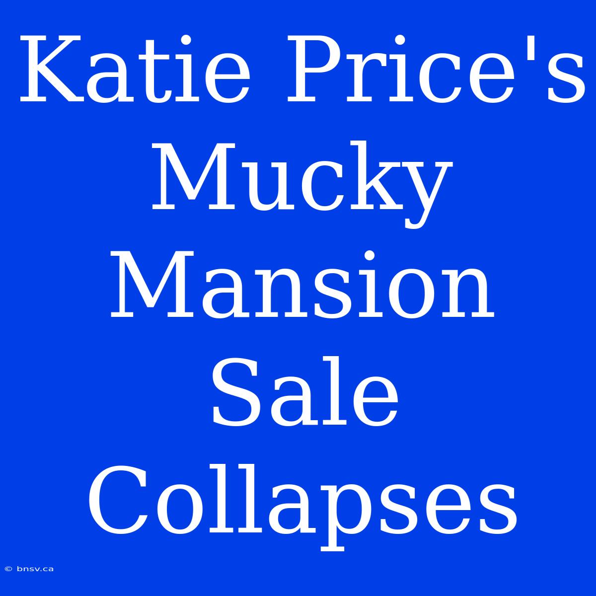 Katie Price's Mucky Mansion Sale Collapses