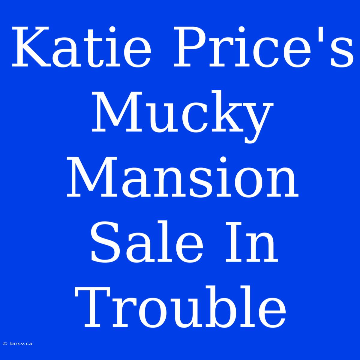 Katie Price's Mucky Mansion Sale In Trouble