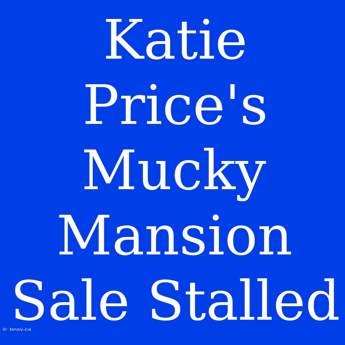 Katie Price's Mucky Mansion Sale Stalled