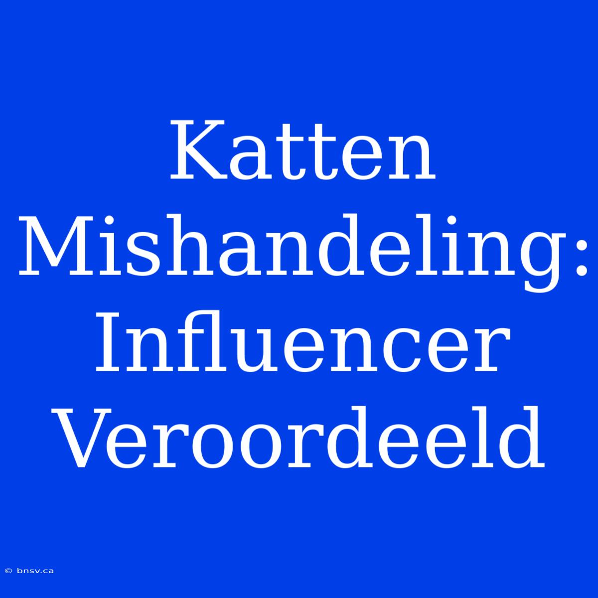 Katten Mishandeling: Influencer Veroordeeld