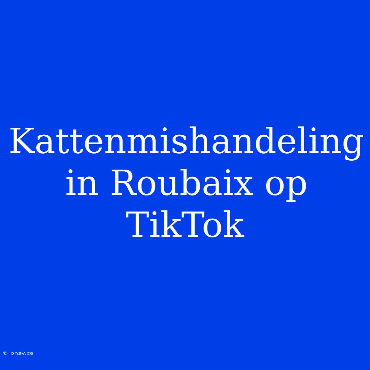 Kattenmishandeling In Roubaix Op TikTok