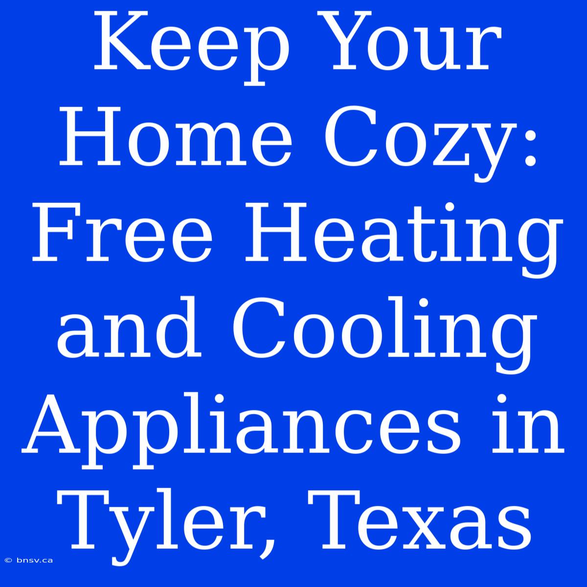 Keep Your Home Cozy: Free Heating And Cooling Appliances In Tyler, Texas