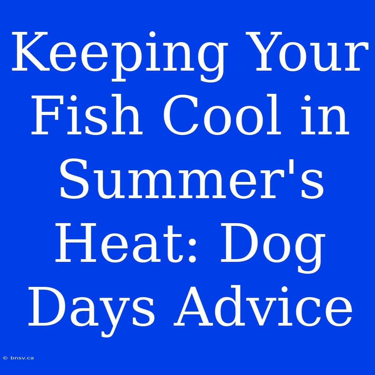 Keeping Your Fish Cool In Summer's Heat: Dog Days Advice