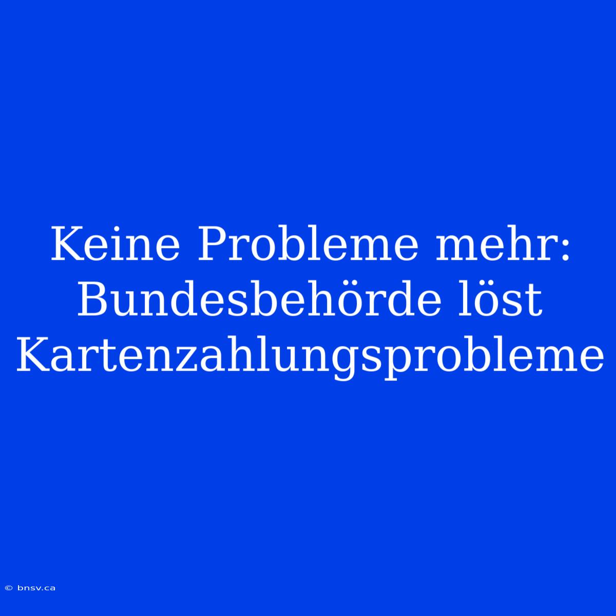 Keine Probleme Mehr: Bundesbehörde Löst Kartenzahlungsprobleme