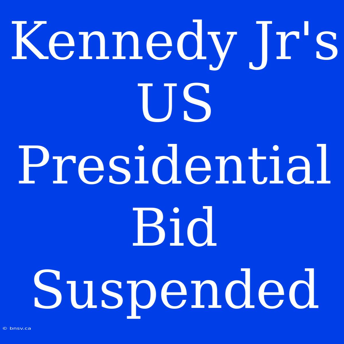 Kennedy Jr's US Presidential Bid Suspended