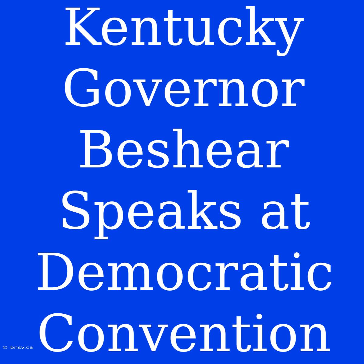 Kentucky Governor Beshear Speaks At Democratic Convention