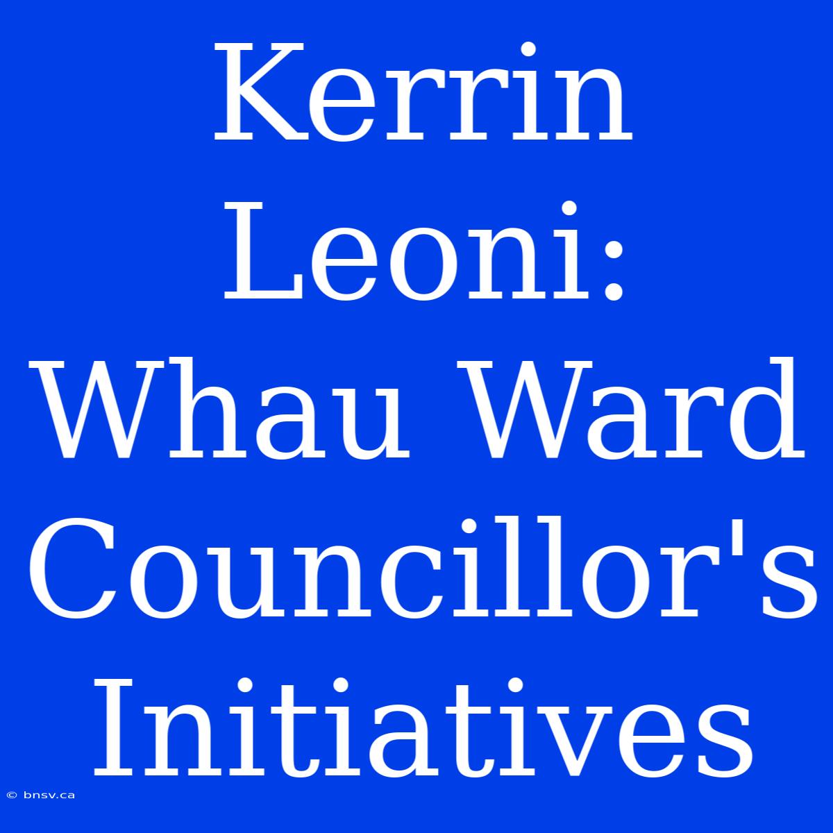 Kerrin Leoni: Whau Ward Councillor's Initiatives