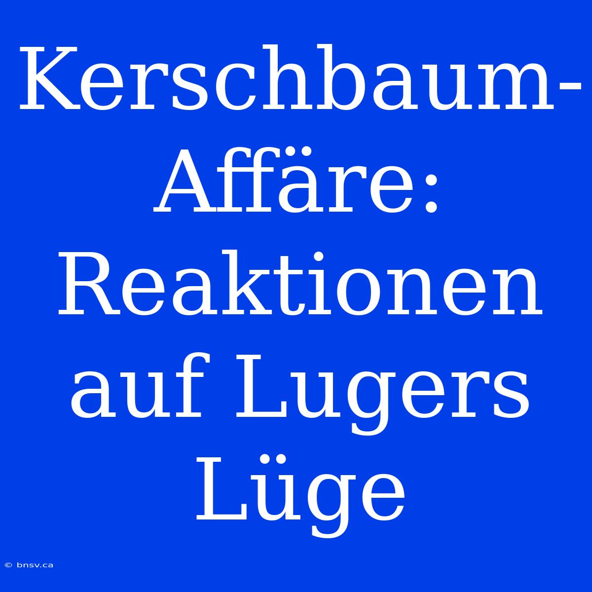 Kerschbaum-Affäre: Reaktionen Auf Lugers Lüge