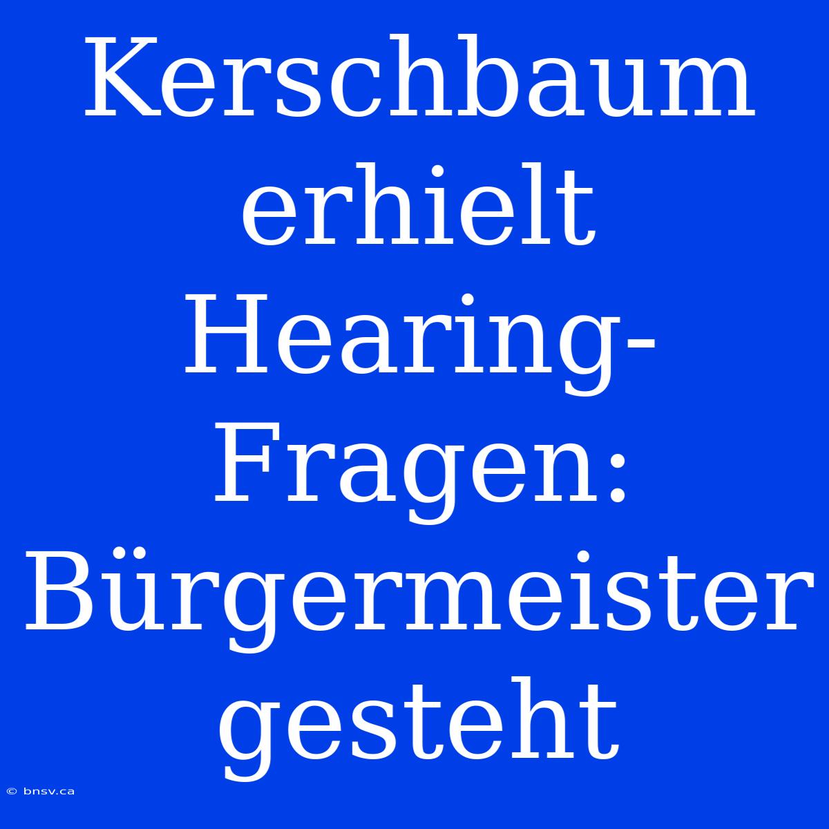 Kerschbaum Erhielt Hearing-Fragen: Bürgermeister Gesteht