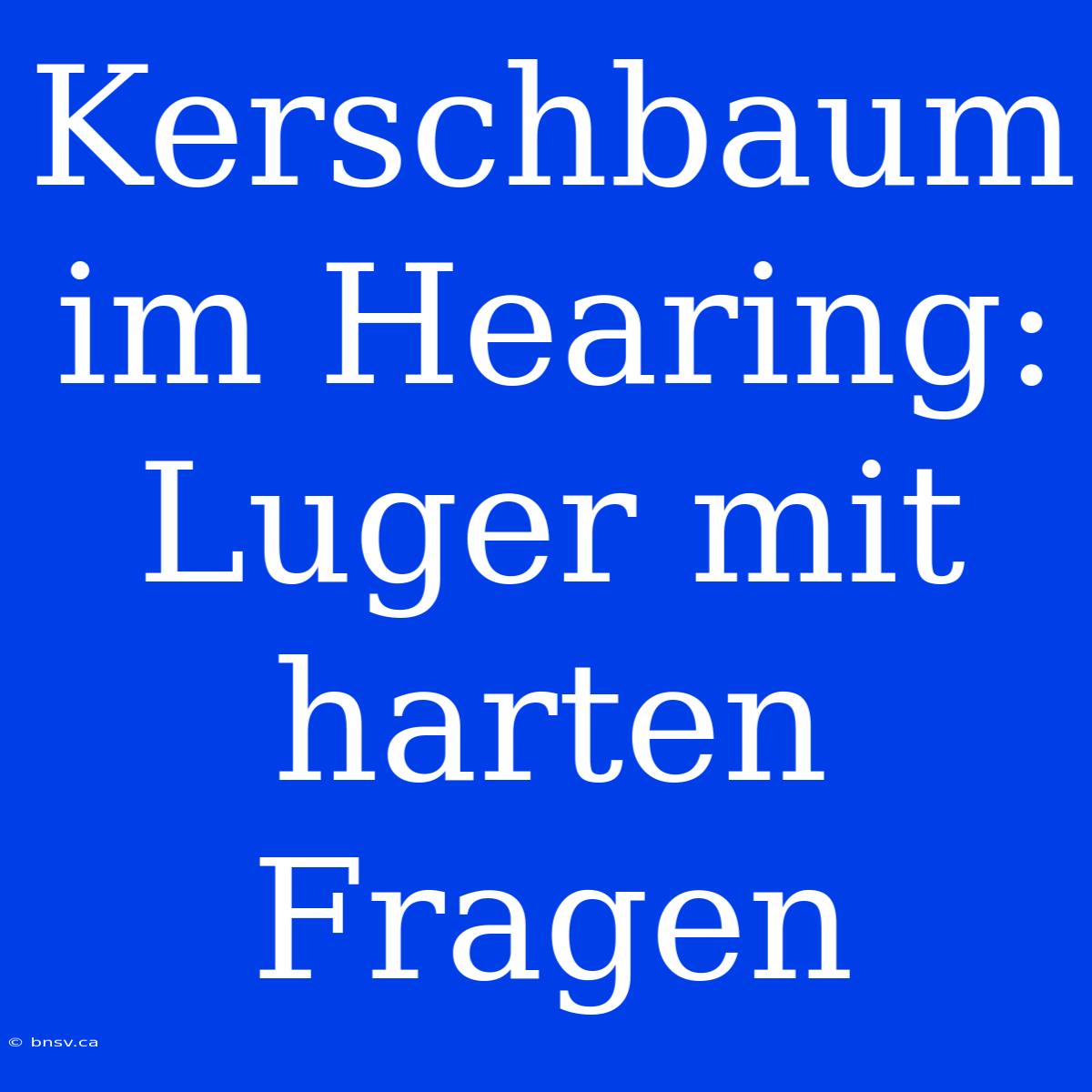 Kerschbaum Im Hearing: Luger Mit Harten Fragen