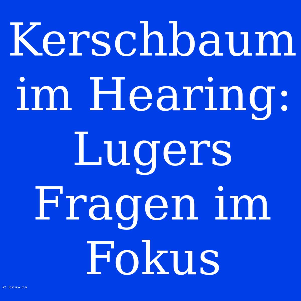 Kerschbaum Im Hearing: Lugers Fragen Im Fokus