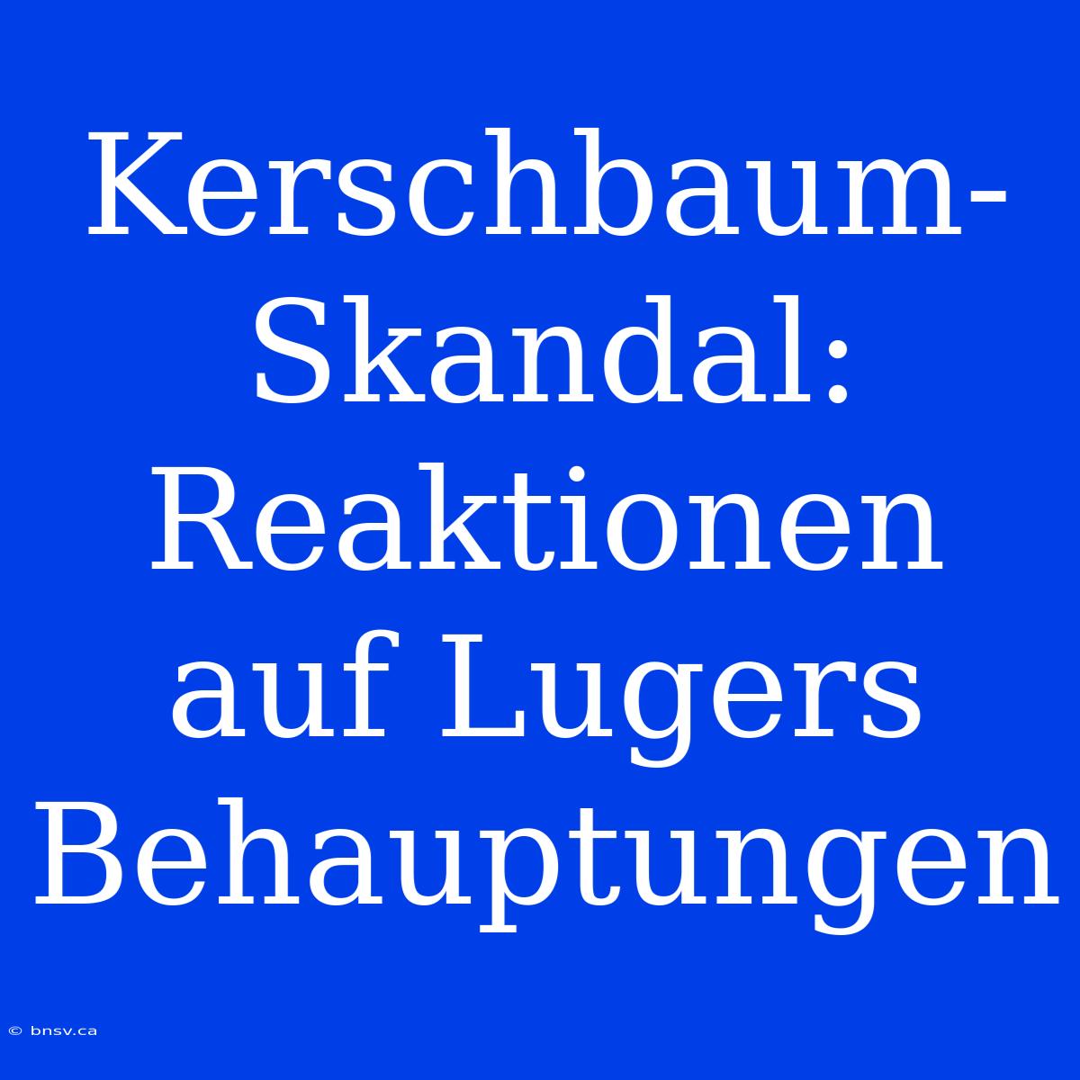 Kerschbaum-Skandal: Reaktionen Auf Lugers Behauptungen