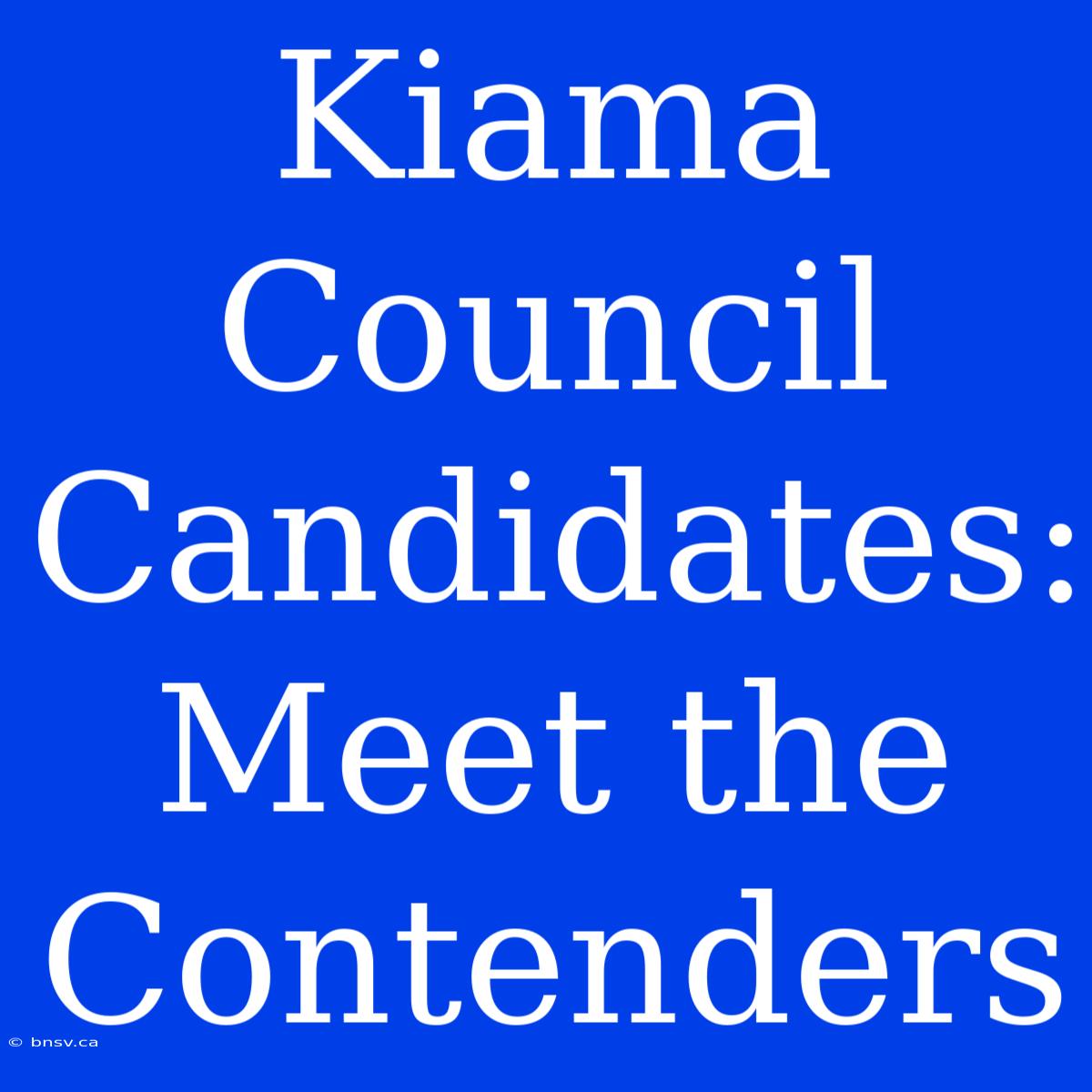 Kiama Council Candidates: Meet The Contenders