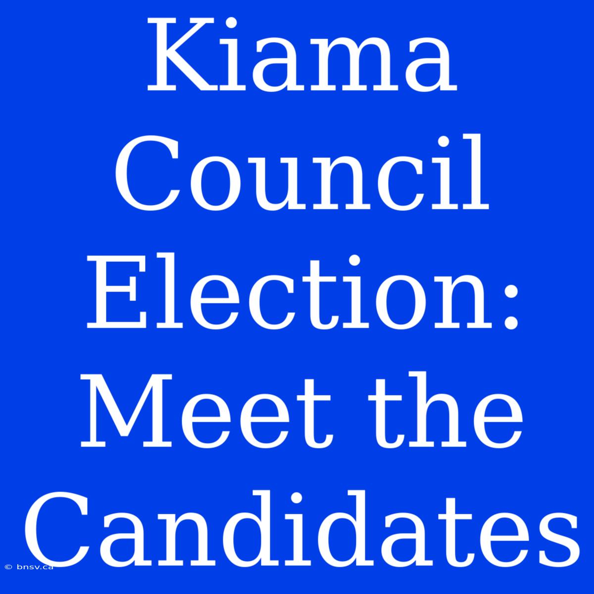 Kiama Council Election: Meet The Candidates