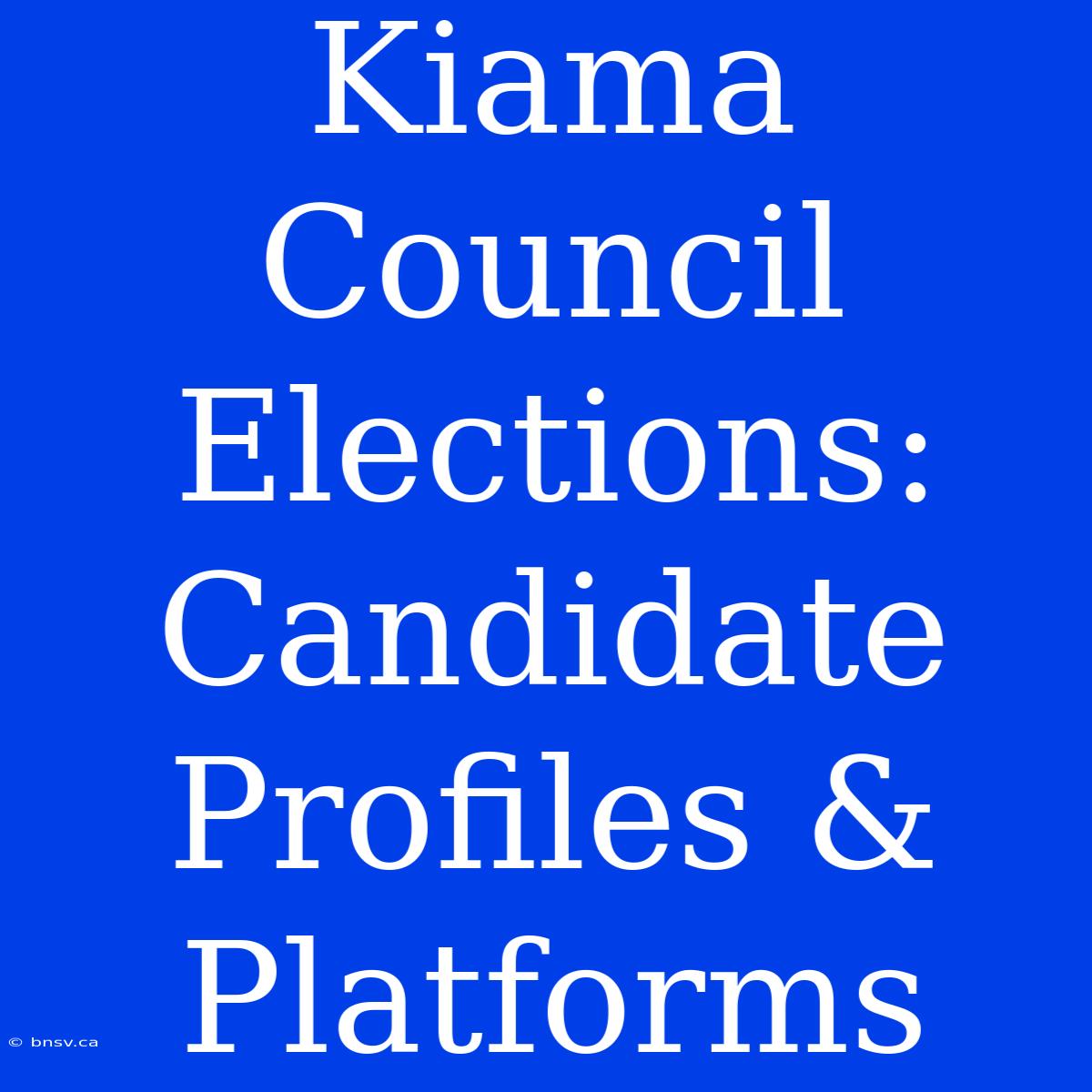 Kiama Council Elections: Candidate Profiles & Platforms