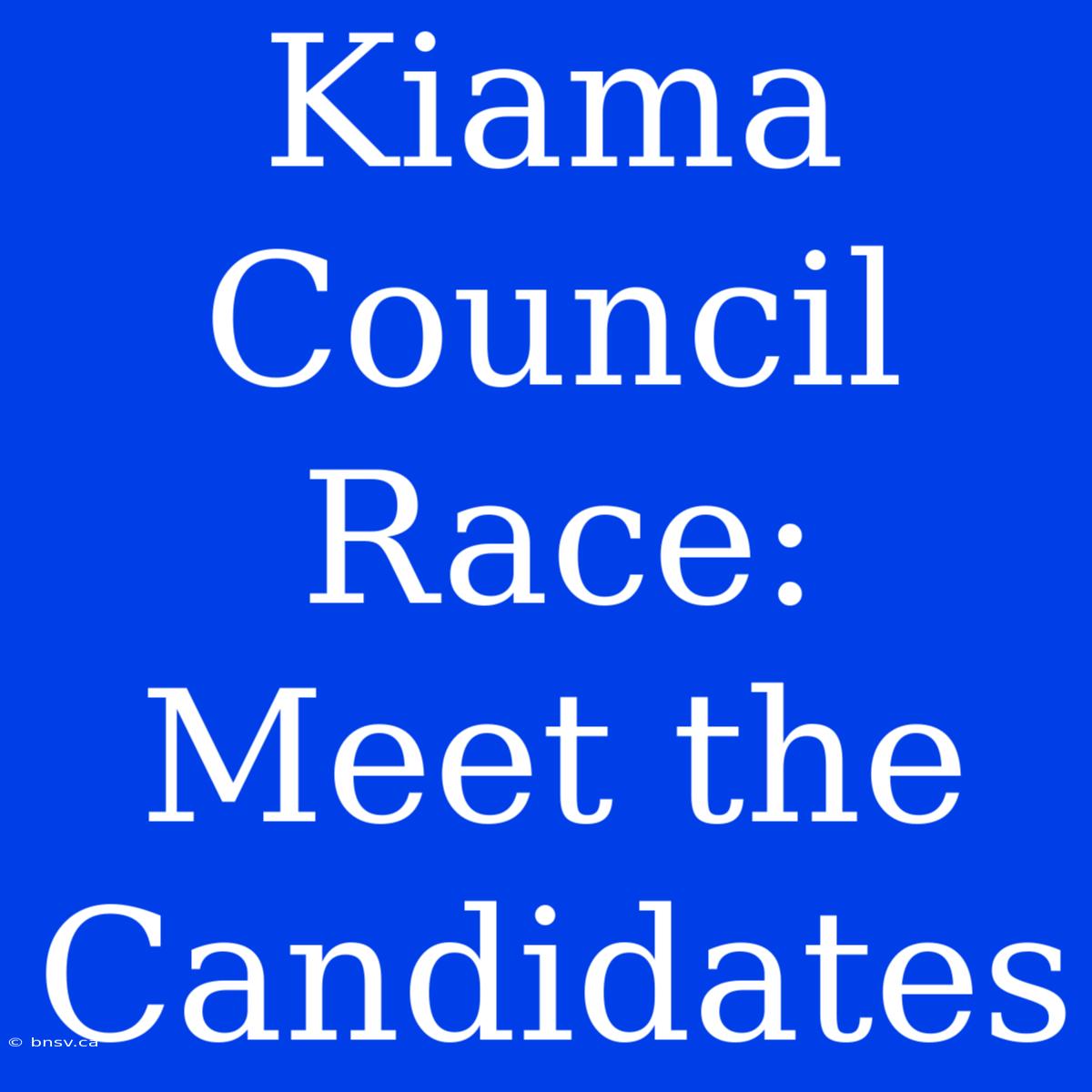 Kiama Council Race: Meet The Candidates