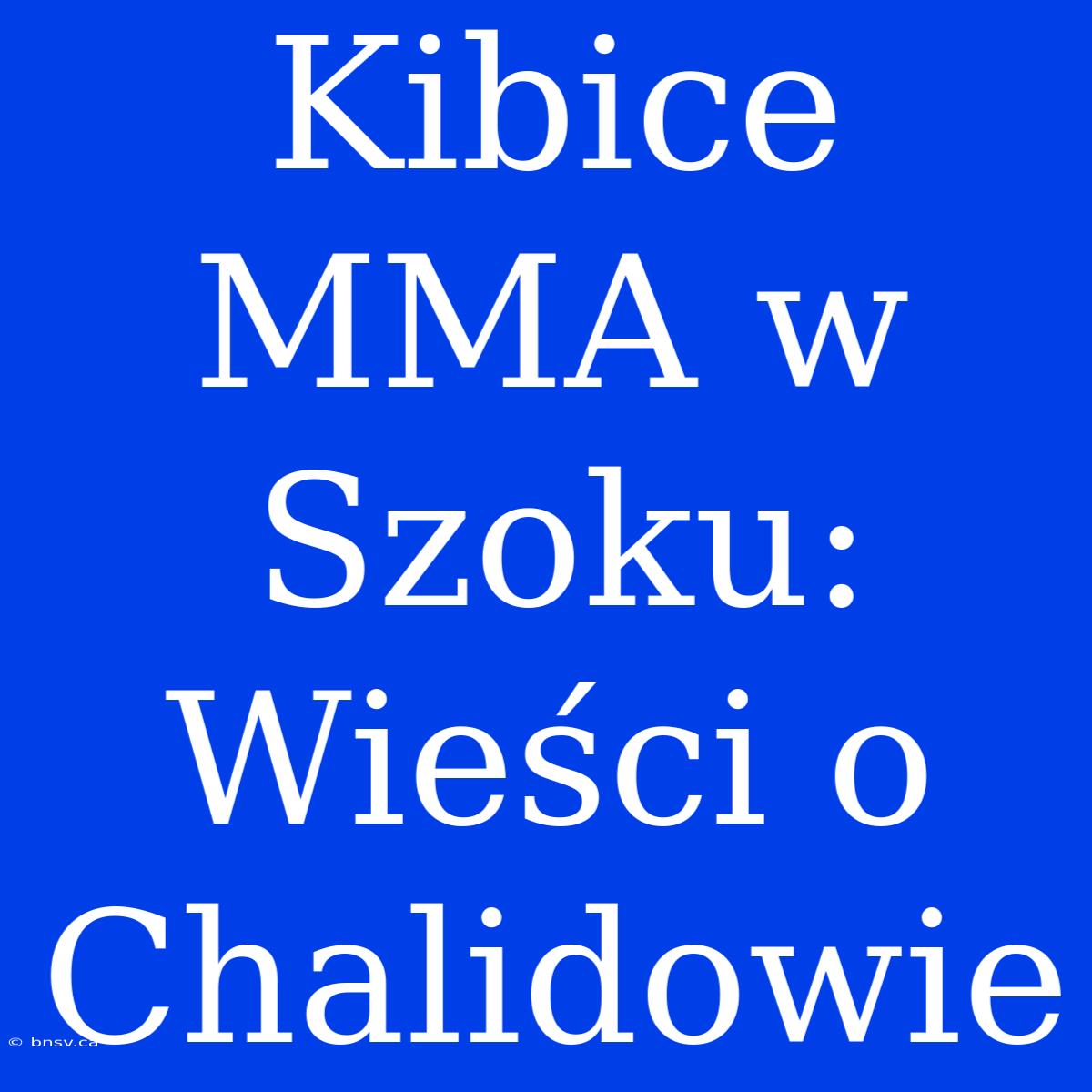 Kibice MMA W Szoku: Wieści O Chalidowie