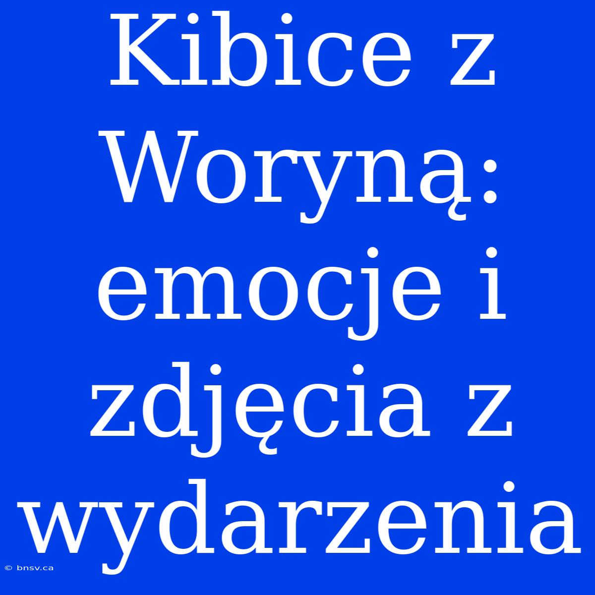 Kibice Z Woryną: Emocje I Zdjęcia Z Wydarzenia