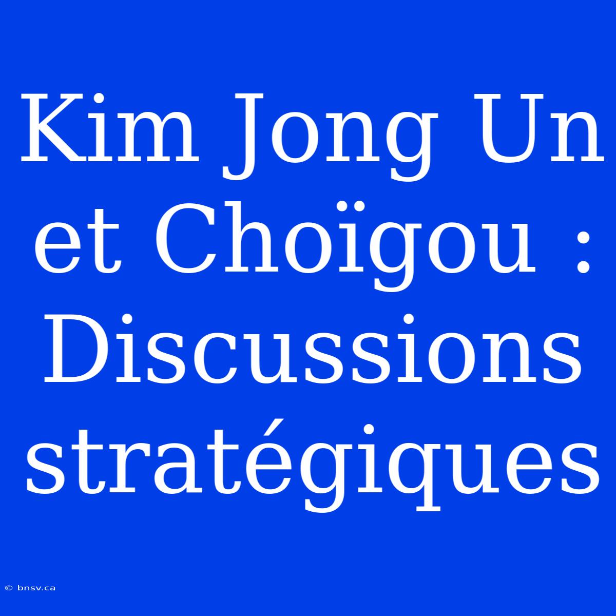 Kim Jong Un Et Choïgou :  Discussions Stratégiques