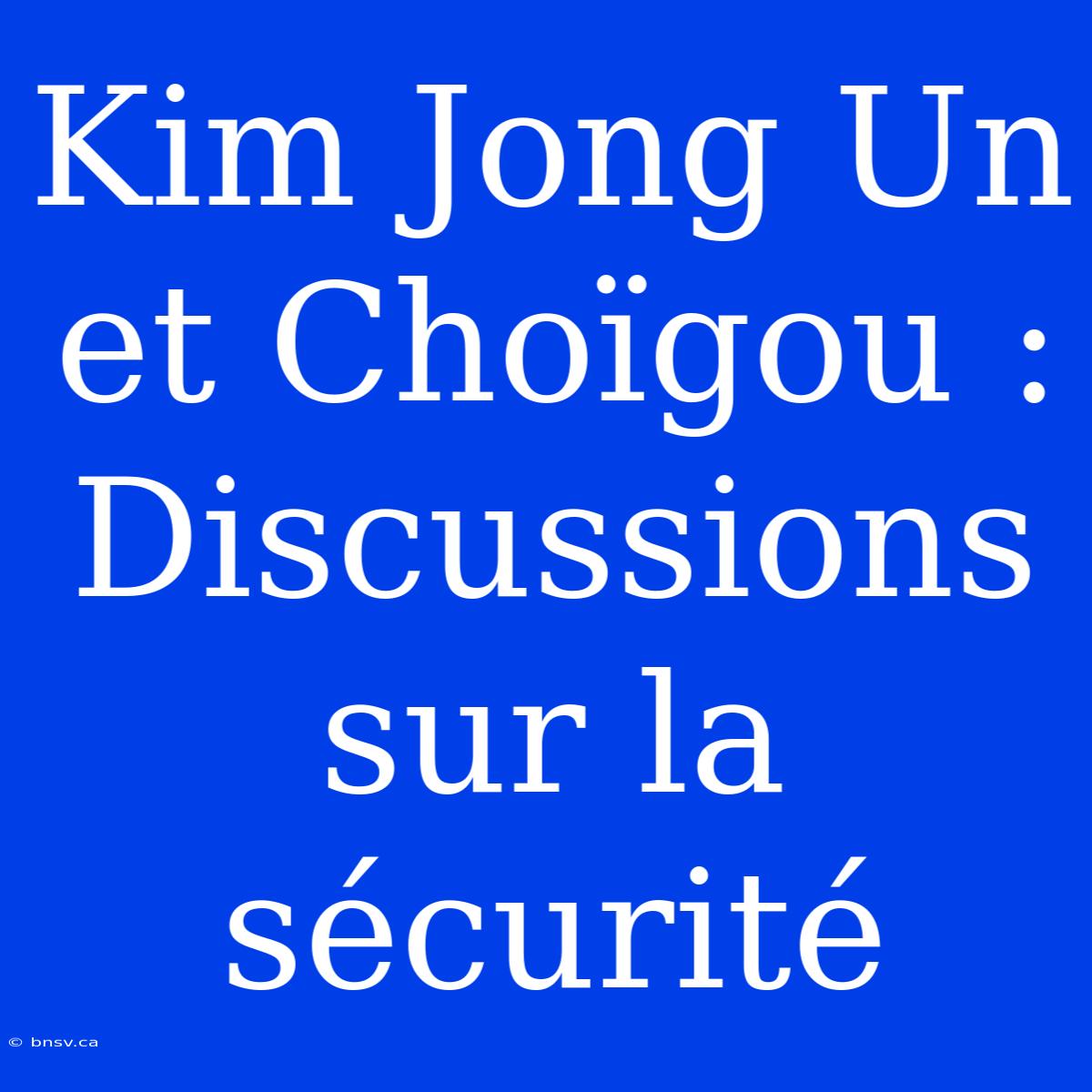 Kim Jong Un Et Choïgou : Discussions Sur La Sécurité