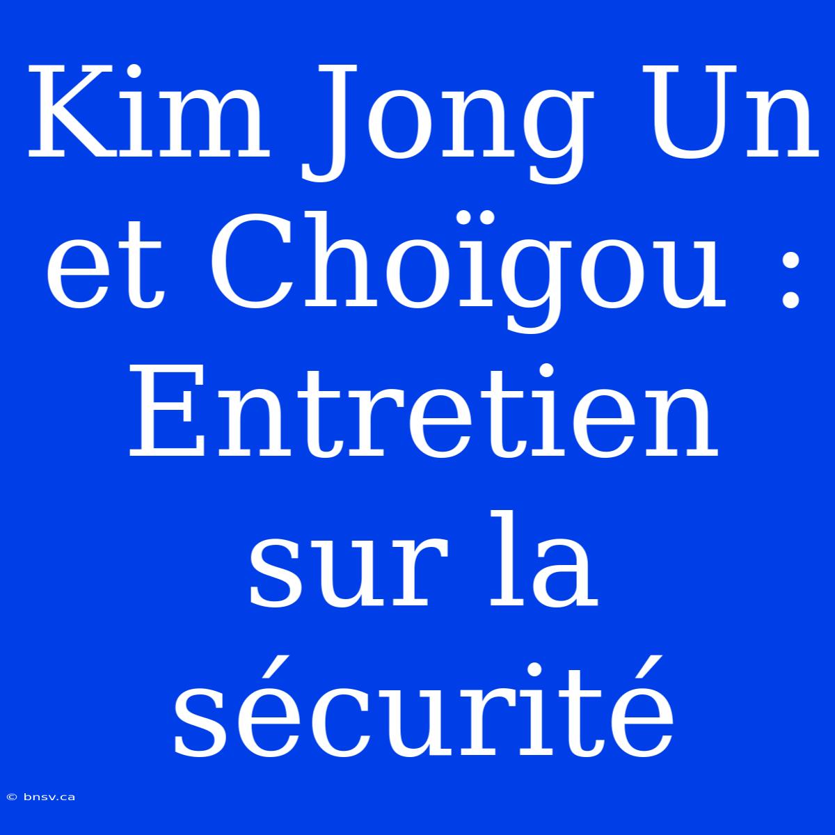 Kim Jong Un Et Choïgou : Entretien Sur La Sécurité