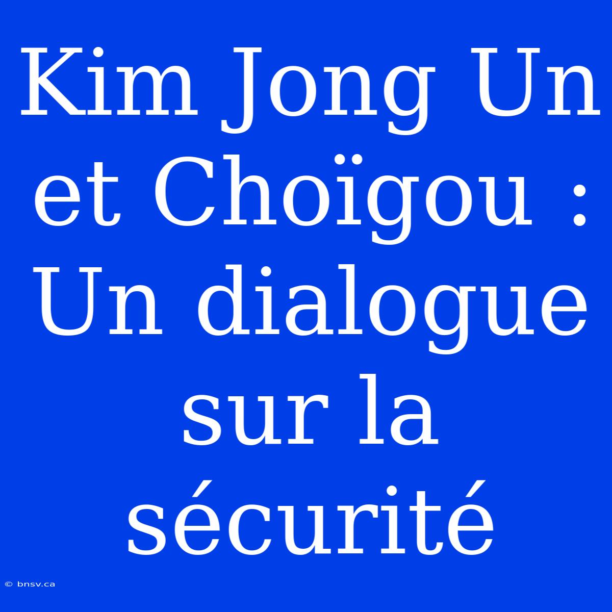 Kim Jong Un Et Choïgou : Un Dialogue Sur La Sécurité