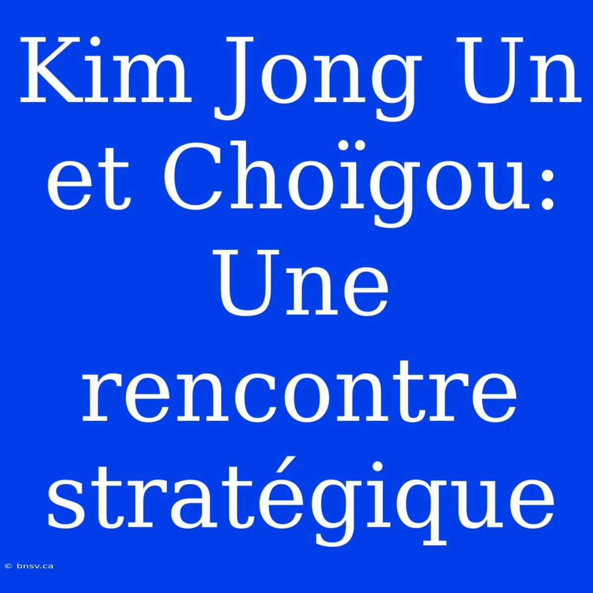 Kim Jong Un Et Choïgou: Une Rencontre Stratégique