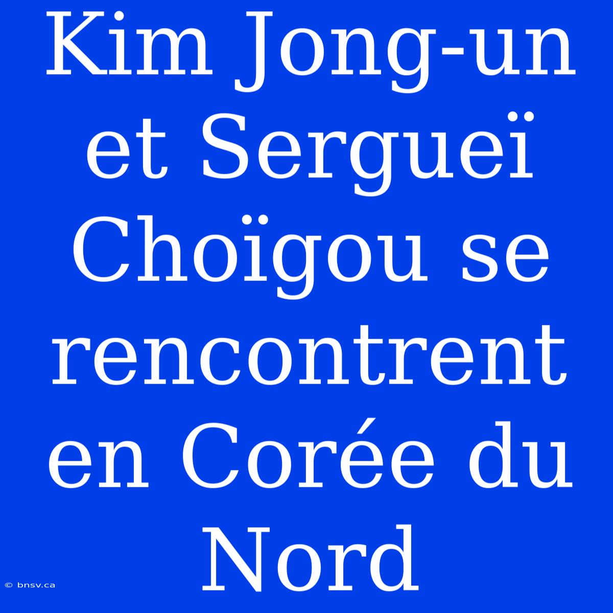 Kim Jong-un Et Sergueï Choïgou Se Rencontrent En Corée Du Nord