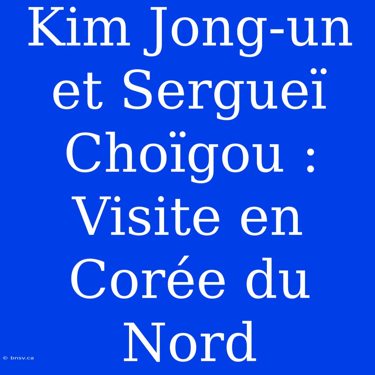 Kim Jong-un Et Sergueï Choïgou : Visite En Corée Du Nord