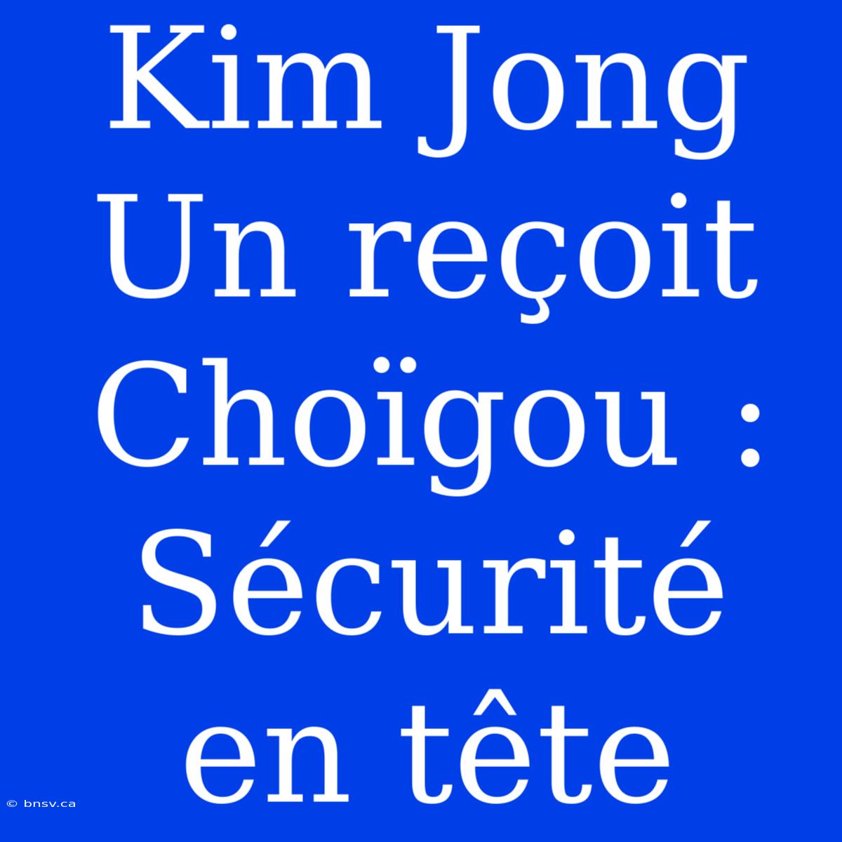 Kim Jong Un Reçoit Choïgou : Sécurité En Tête