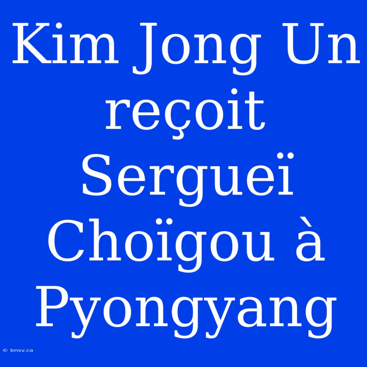 Kim Jong Un Reçoit Sergueï Choïgou À Pyongyang