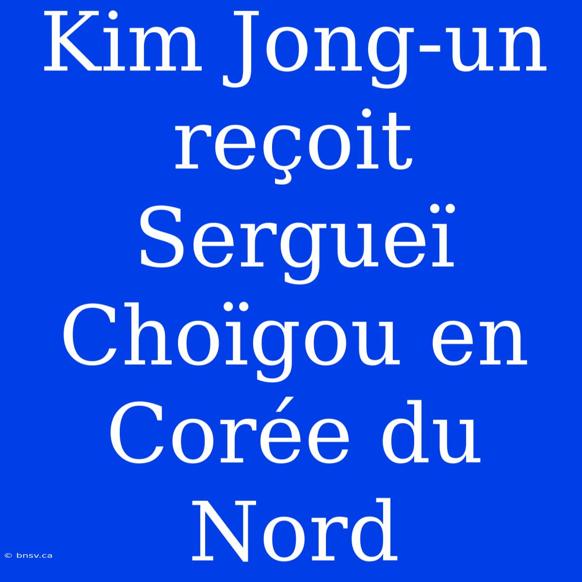 Kim Jong-un Reçoit Sergueï Choïgou En Corée Du Nord