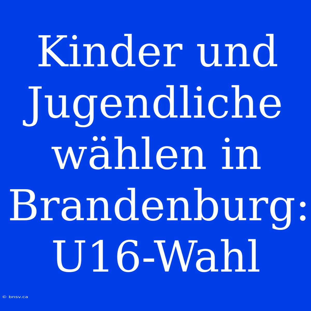 Kinder Und Jugendliche Wählen In Brandenburg: U16-Wahl