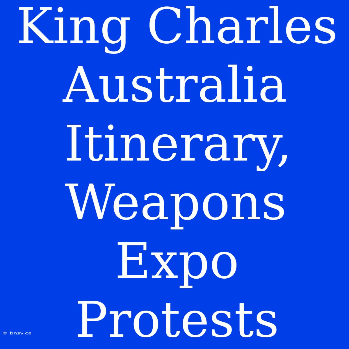 King Charles Australia Itinerary, Weapons Expo Protests