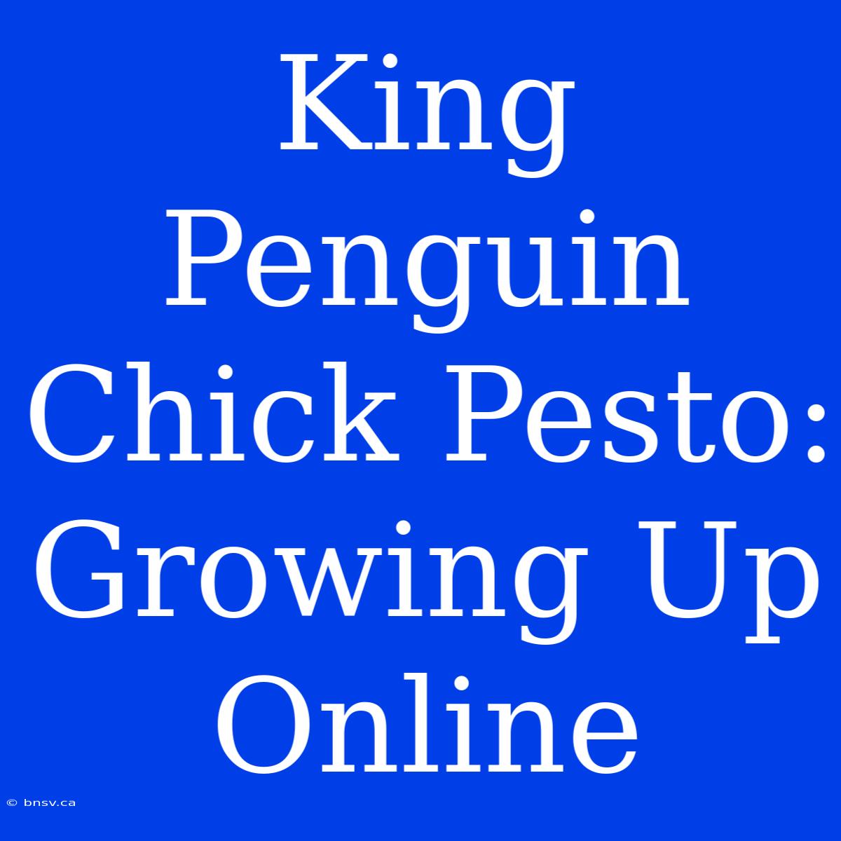 King Penguin Chick Pesto: Growing Up Online