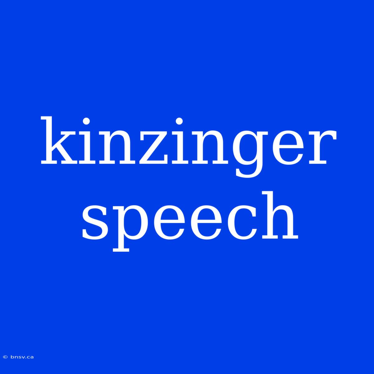 Kinzinger Speech