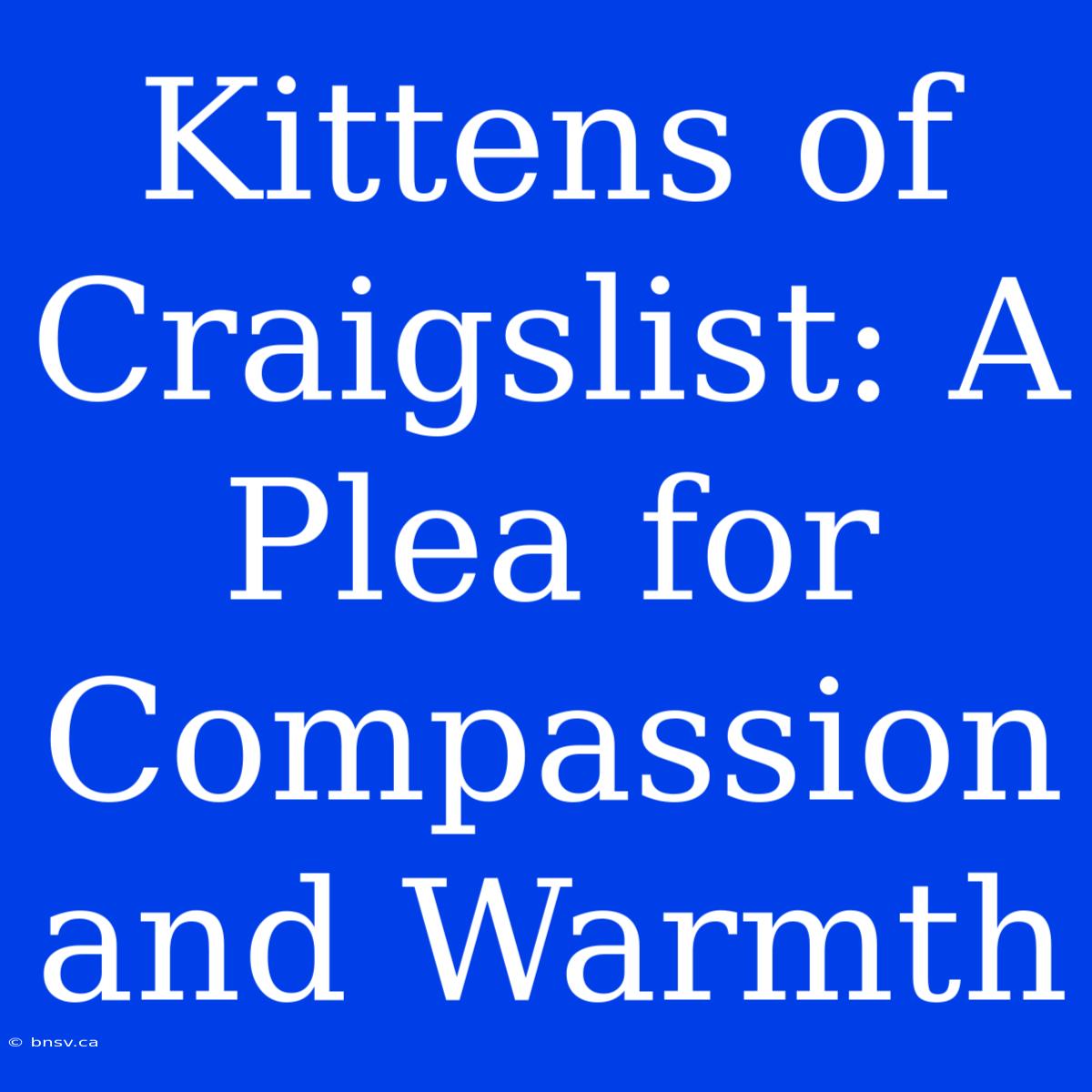 Kittens Of Craigslist: A Plea For Compassion And Warmth