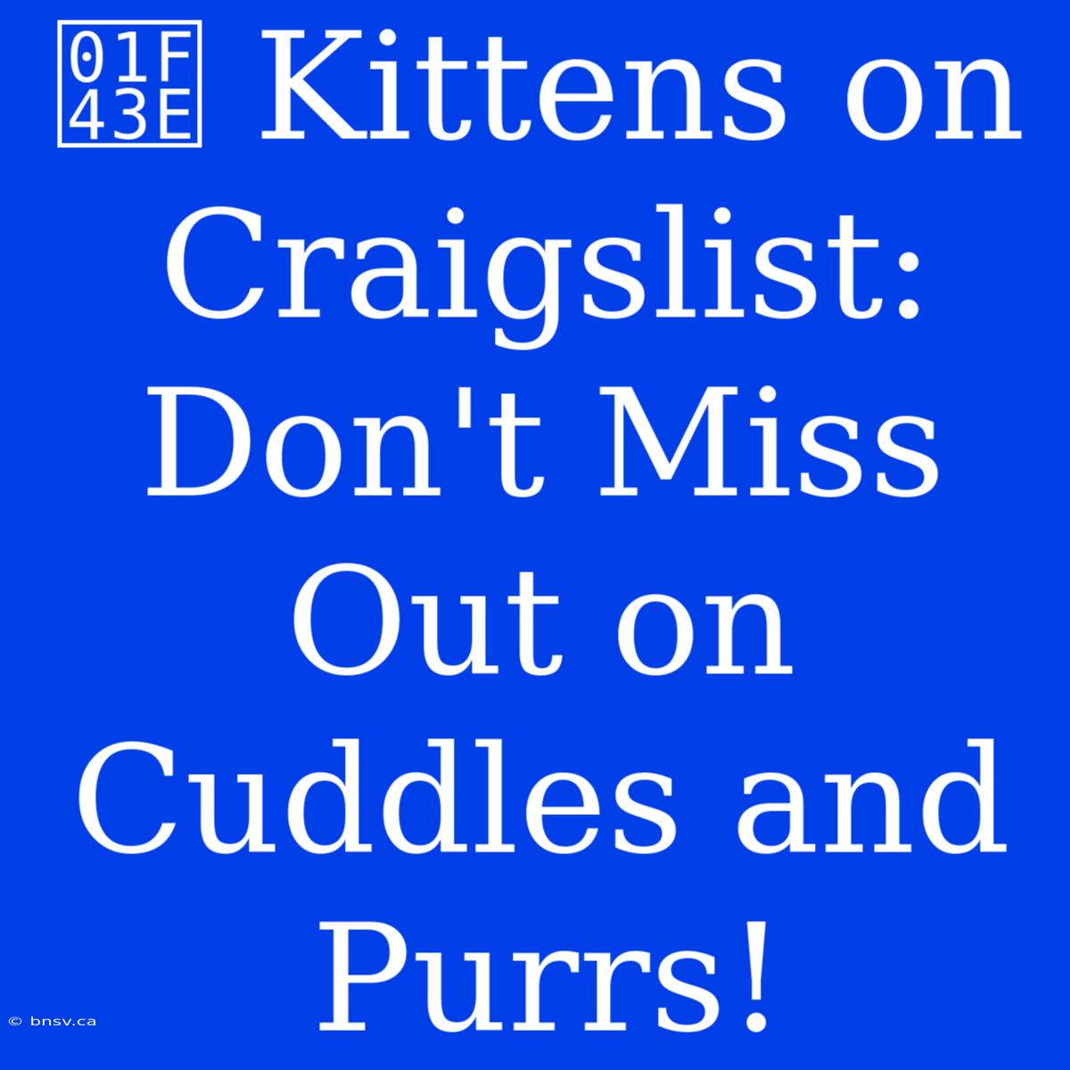 🐾 Kittens On Craigslist: Don't Miss Out On Cuddles And Purrs!