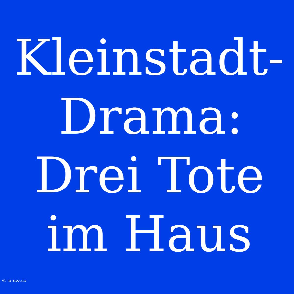 Kleinstadt-Drama: Drei Tote Im Haus