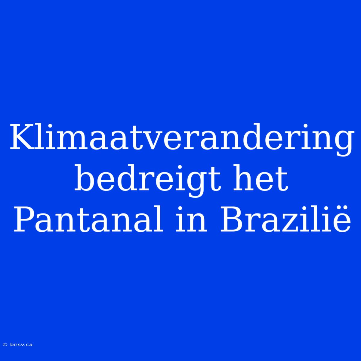 Klimaatverandering Bedreigt Het Pantanal In Brazilië