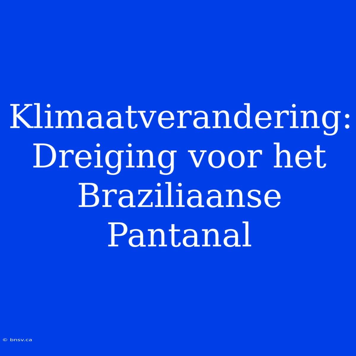 Klimaatverandering: Dreiging Voor Het Braziliaanse Pantanal