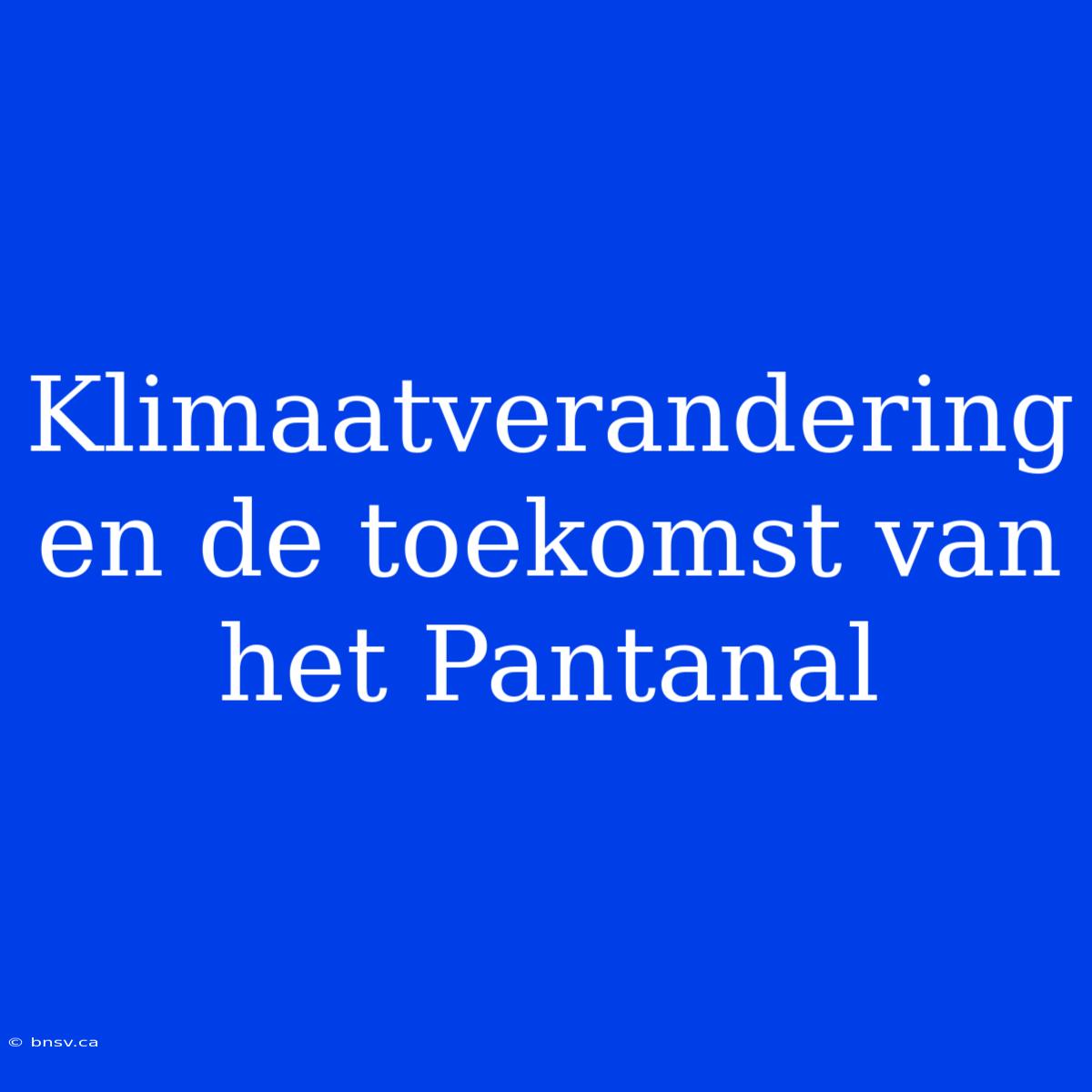 Klimaatverandering En De Toekomst Van Het Pantanal