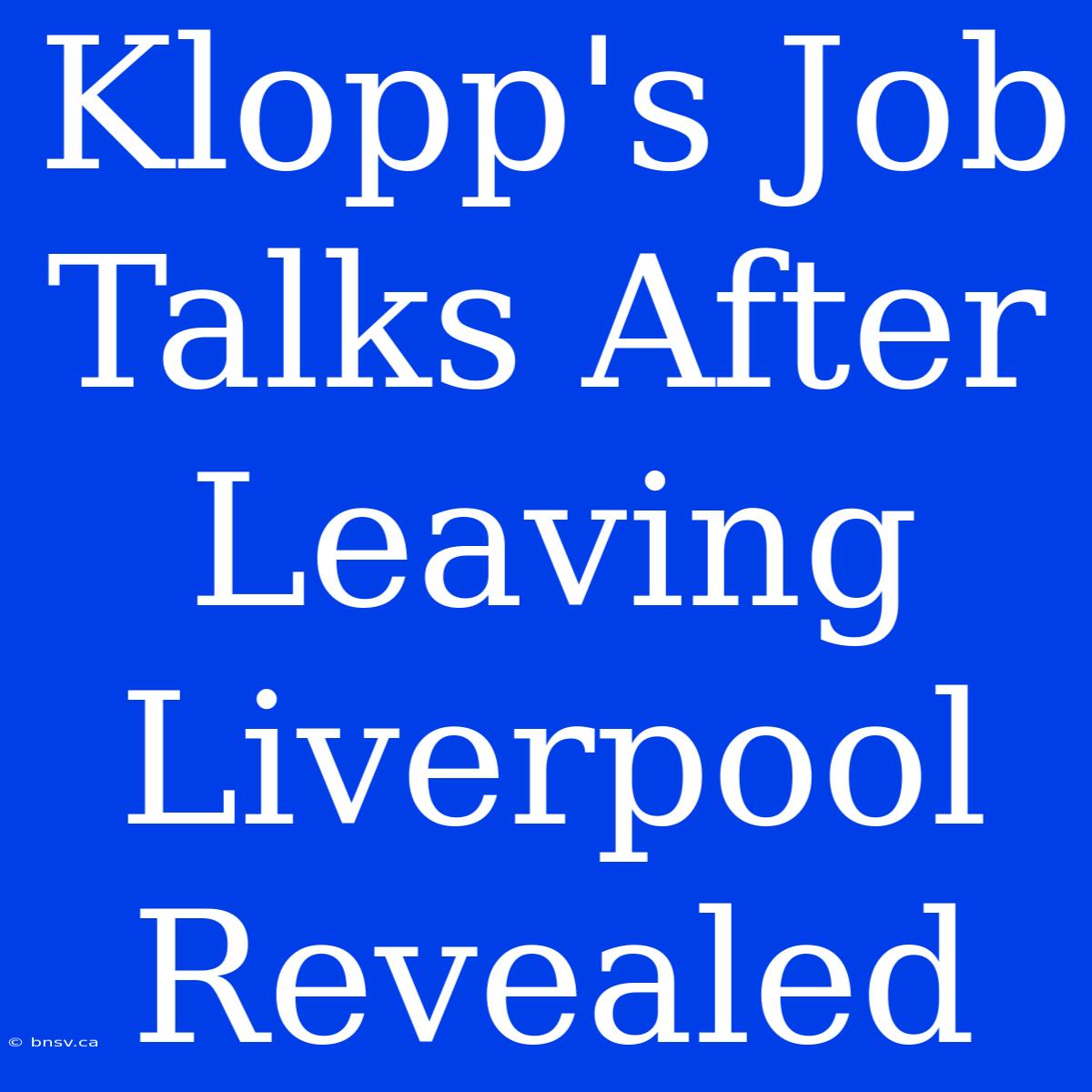 Klopp's Job Talks After Leaving Liverpool Revealed