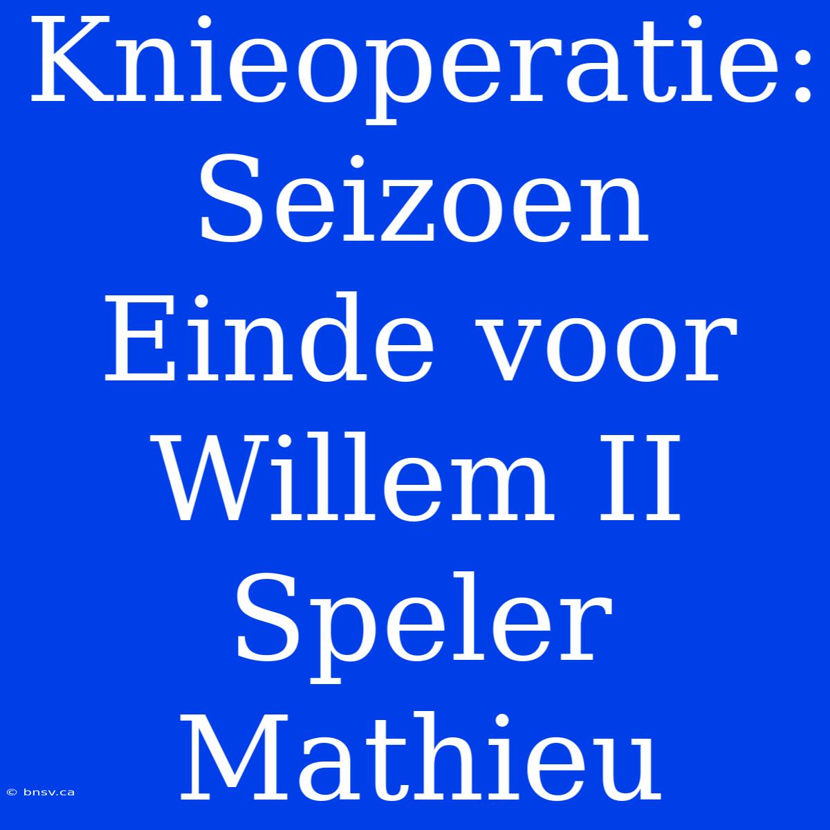 Knieoperatie: Seizoen Einde Voor Willem II Speler Mathieu