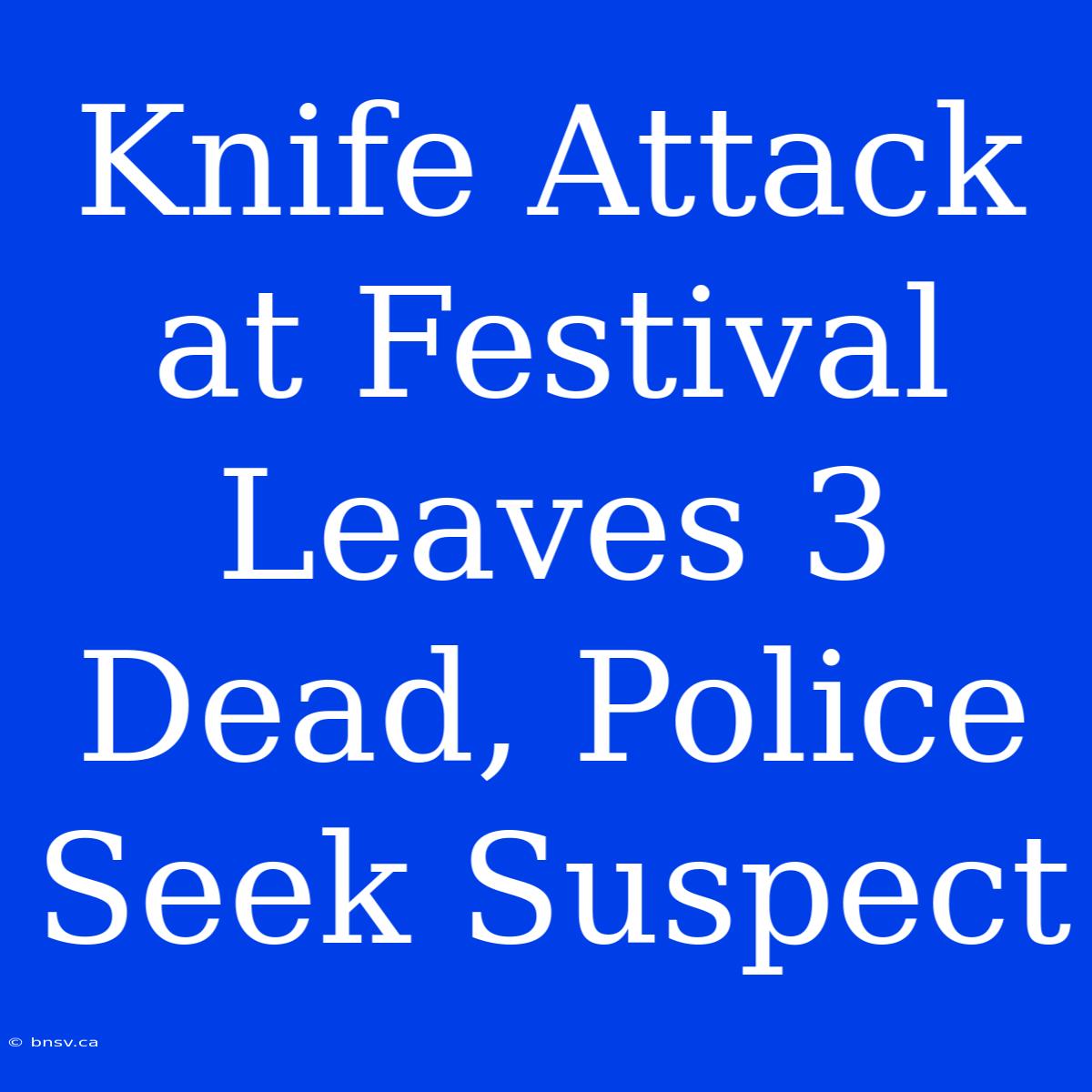 Knife Attack At Festival Leaves 3 Dead, Police Seek Suspect