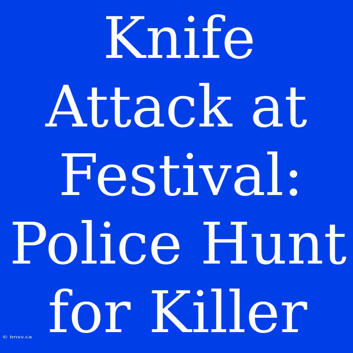 Knife Attack At Festival: Police Hunt For Killer